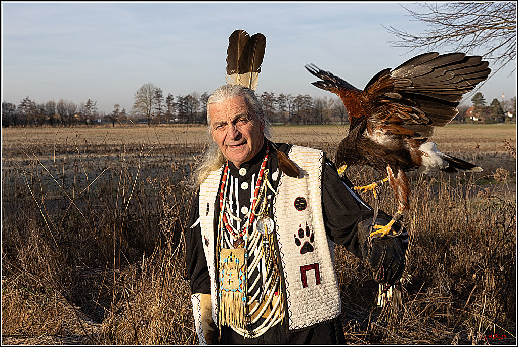 Cheyenne-Halbblut Hunting Wolf in der Falknerei Pierre Schmidt; Gymnich, 09.02.2023